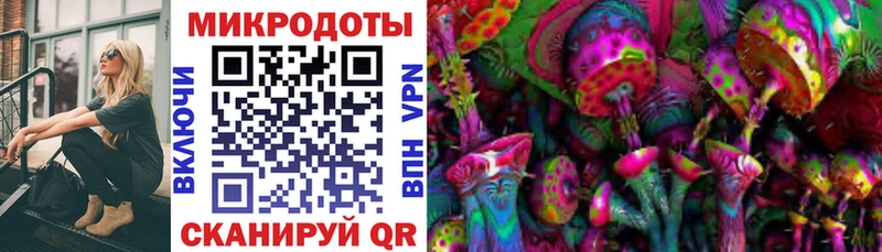 Галлюциногенные грибы GOLDEN TEACHER маркетплейс клад Заполярный дарнет шоп